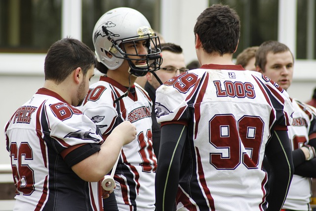 哈姆西克为 哈姆西克为