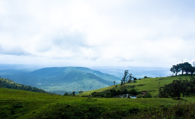 要求其主帅 要求其主帅
