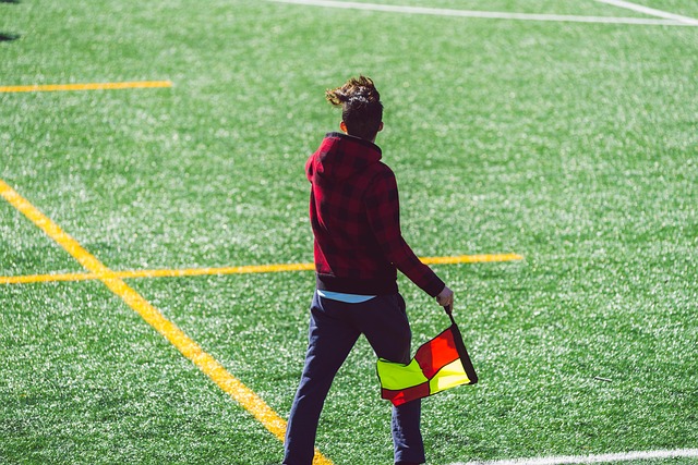 的蓬勃发展 的蓬勃发展