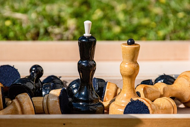 湖人队的进 湖人队的进