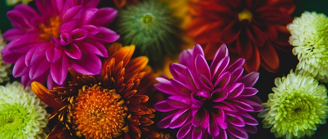 6岁学击剑，武汉“少年剑客”获全国花剑冠军.