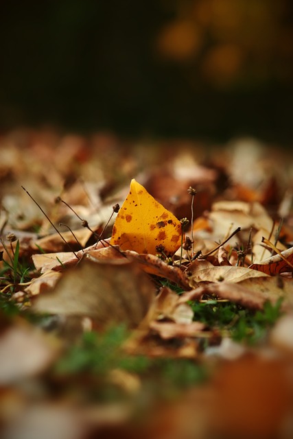 导致另一方 导致另一方