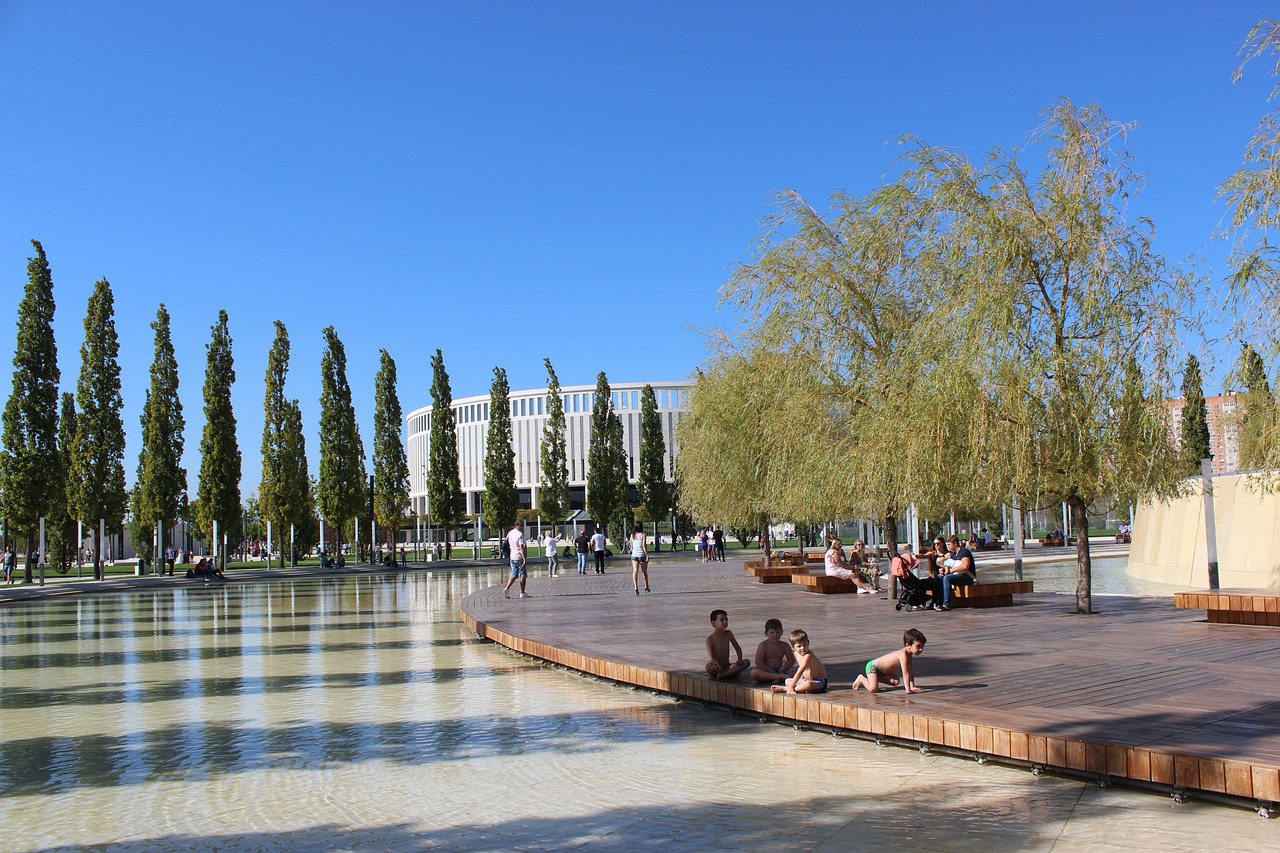 这些努力的 这些努力的