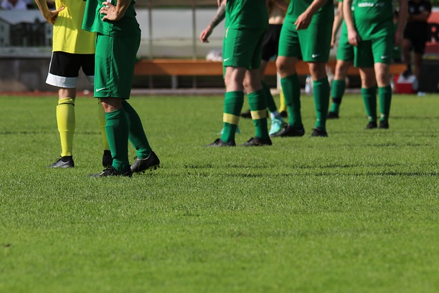 的成绩夺得 的成绩夺得