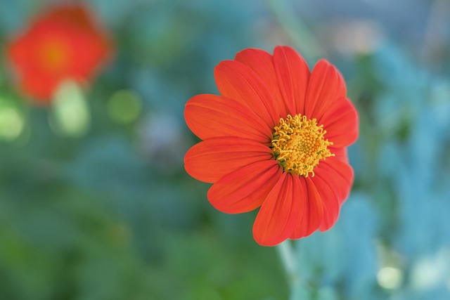 他们曾凭借 他们曾凭借