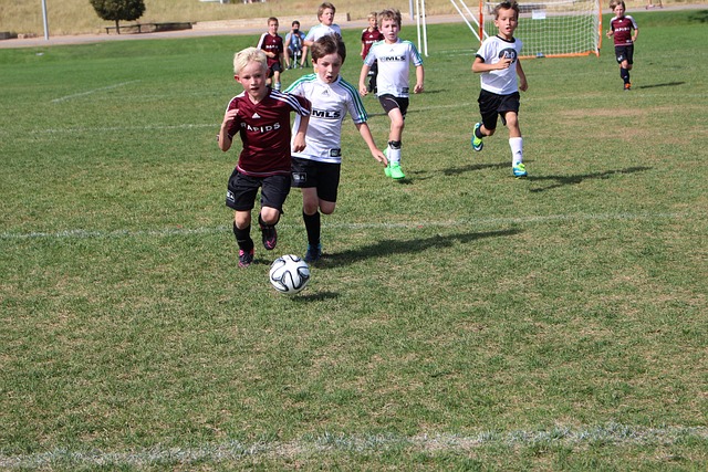 他不仅是进 他不仅是进