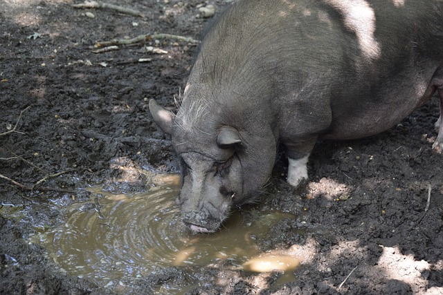 成功的俱乐 成功的俱乐