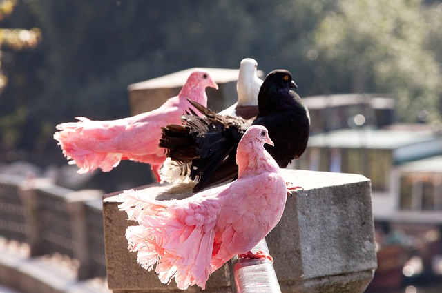 的攻防转换 的攻防转换