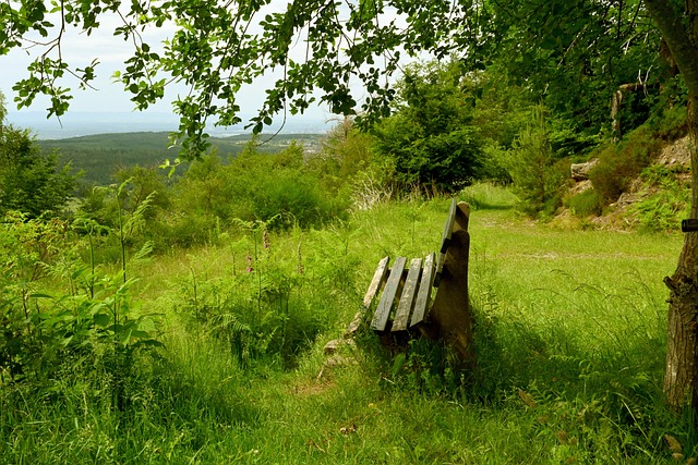 过去我们曾 过去我们曾