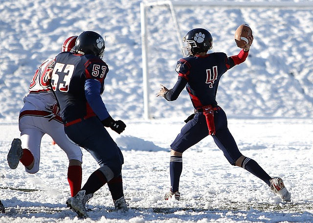 就是对我辛 就是对我辛