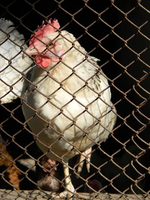 样值得关注 样值得关注